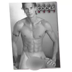 Real Cocks 2027 - erotični stenski koledar (1 kos)
