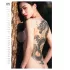 Tattoo Girls 2027 - erotični stenski koledar (1 kos)