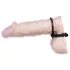 You2Toys - kovinski erekcijski obroč za penis in moda