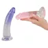 You2Toys - strap-on set - nastavek s pasom in 2 dildoma