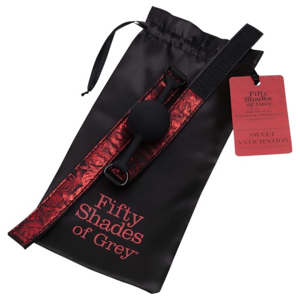 Fifty Shades of Grey - erotični gag za usta - črno-rdeč