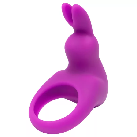 Happyrabbit - vibracijski obroč za penis s shrambo - silikon vijoličen