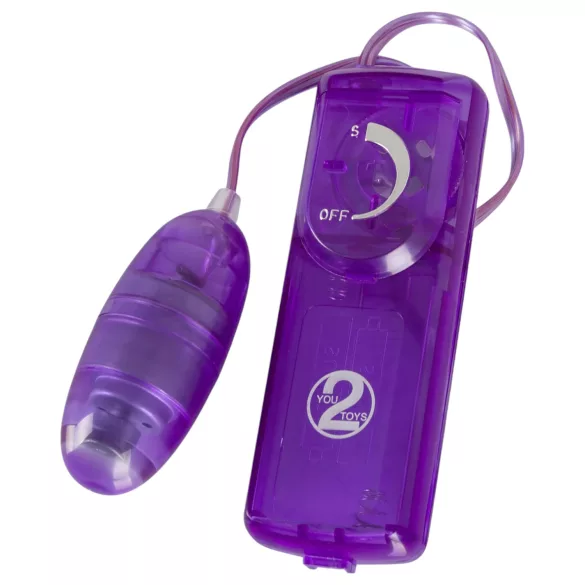 You2Toys - vibratorni komplet 9-delni - vijolična