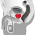 You2Toys - masažer prostate - vrtljiv vibrator - črna