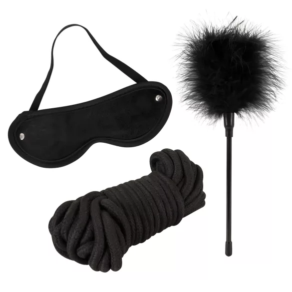 tease & please - Master & Slave - premium BDSM pustolovski komplet za pare (13-delni)