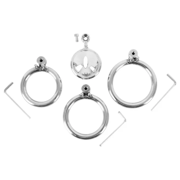 fetish collection - mini kletka za penis s 3 zamenljivimi obročki za modo (srebrna)