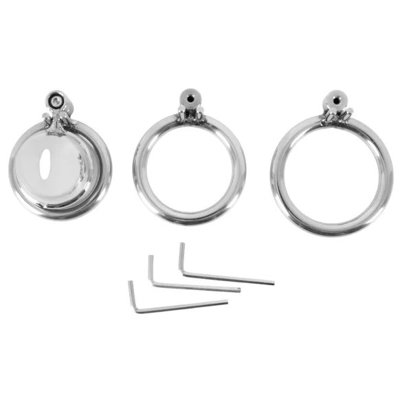 fetish collection - mini kletka za penis s 3 zamenljivimi obročki za modo (srebrna)