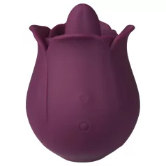 Amaysin - jezični rožni vibrator za klitoris (vijoličen)