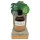 Coconutoil - bronz olje - bio - 80 ml