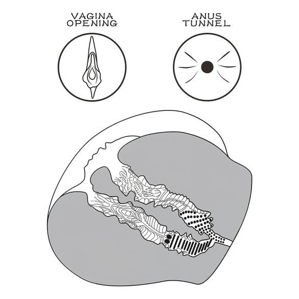 Lovetoy - umetna vagina torzo in tanga - temna naravna barva