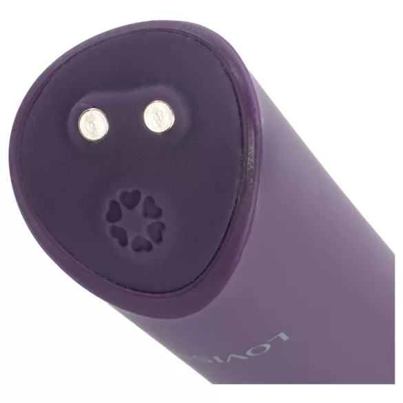LOVISS Flower - mini palični vibrator (vijoličen)