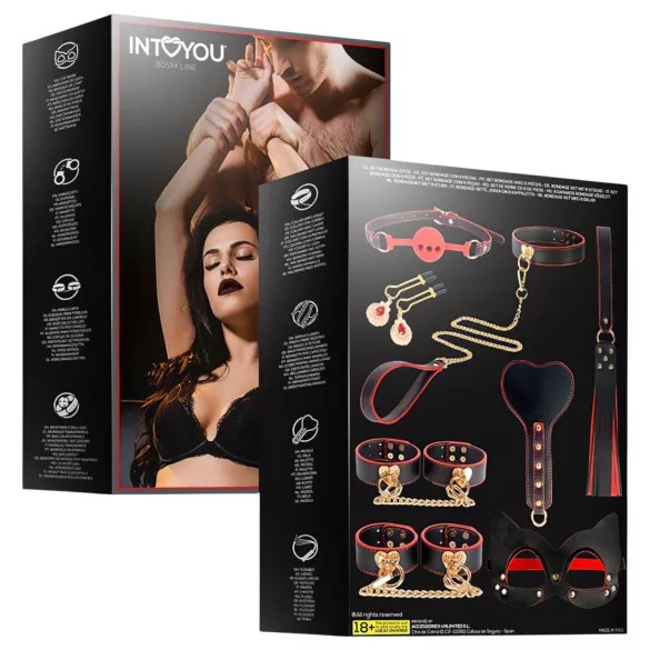 INTOYOU - BDSM komplet za izkušene - 8 delov - črna
