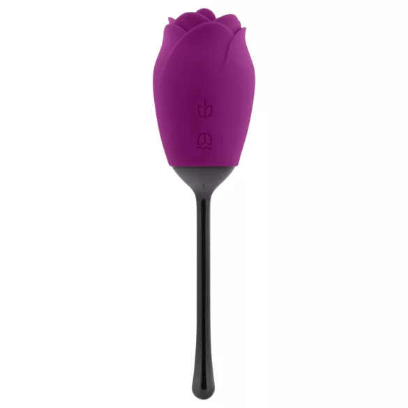 Playboy - vibrator za klitoris z jezičkom - vodoodporen, polnilec, vijoličen