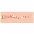 XKIN natakarski masturbator Sasha Slippernip - realistična umetna vagina (naravna barva)