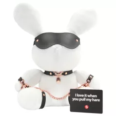 Bondage Rabbit - BDSM lisica - bela