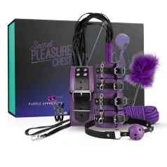 Secret Pleasure Chest - BDSM komplet za izkušene - 14 delov