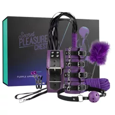 Secret Pleasure Chest - napredni BDSM komplet (14-delni)