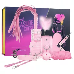   Secret Pleasure Chest - napredni komplet za BDSM - 14-delni (roza)