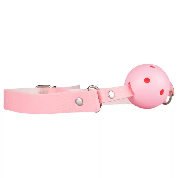 Secret Pleasure Chest - napredni komplet za BDSM - 14-delni (roza)