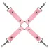 Secret Pleasure Chest - napredni komplet za BDSM - 14-delni (roza)