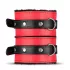 Secret Pleasure Chest - BDSM set za napredne - 10 delov - rdeča