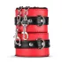 Secret Pleasure Chest - BDSM set za napredne - 10 delov - rdeča