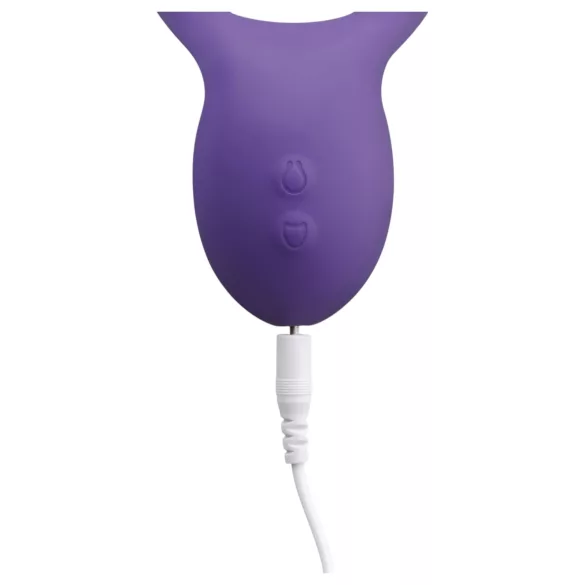 Teazers Partner Multifun - vibrator za pare (vijoličen)