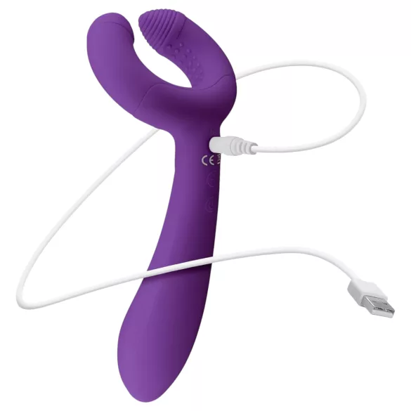 Easytoys Couple - vibrator za pare - polnjenje USB - vodoodporen - vijoličen