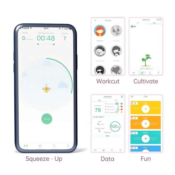 Magic Motion FitCute - pametne gejša kroglice - polnilne - meta